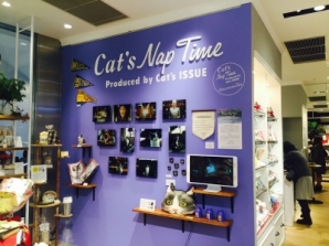 人気雑貨店様の店舗装飾